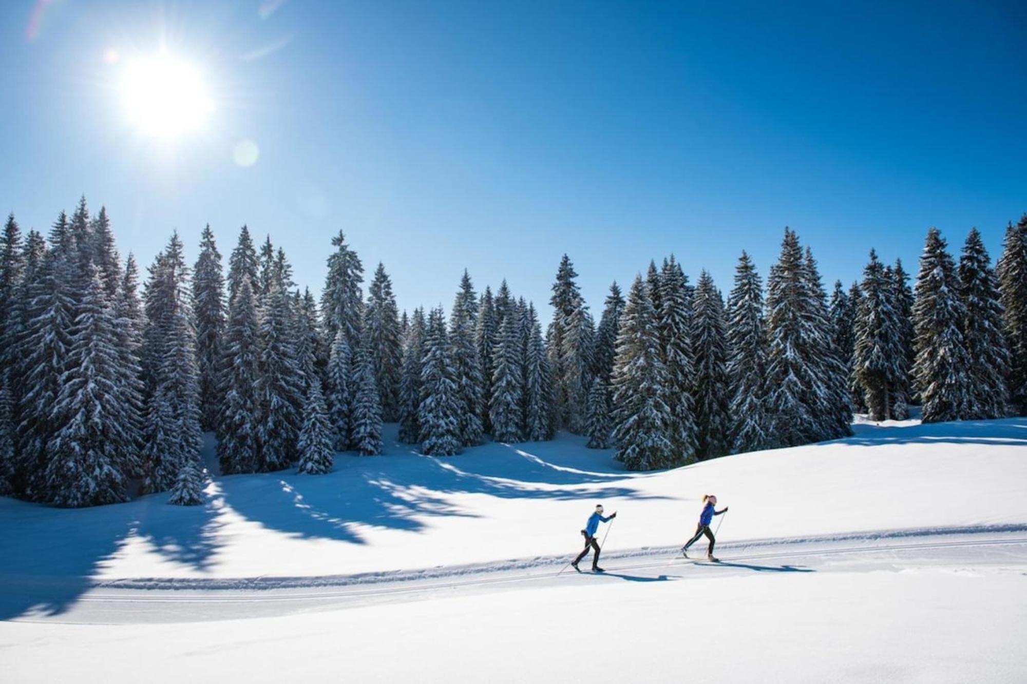 Superbe Appartement Au Pied Des Pistes -Le Chamois Les Déserts Zewnętrze zdjęcie