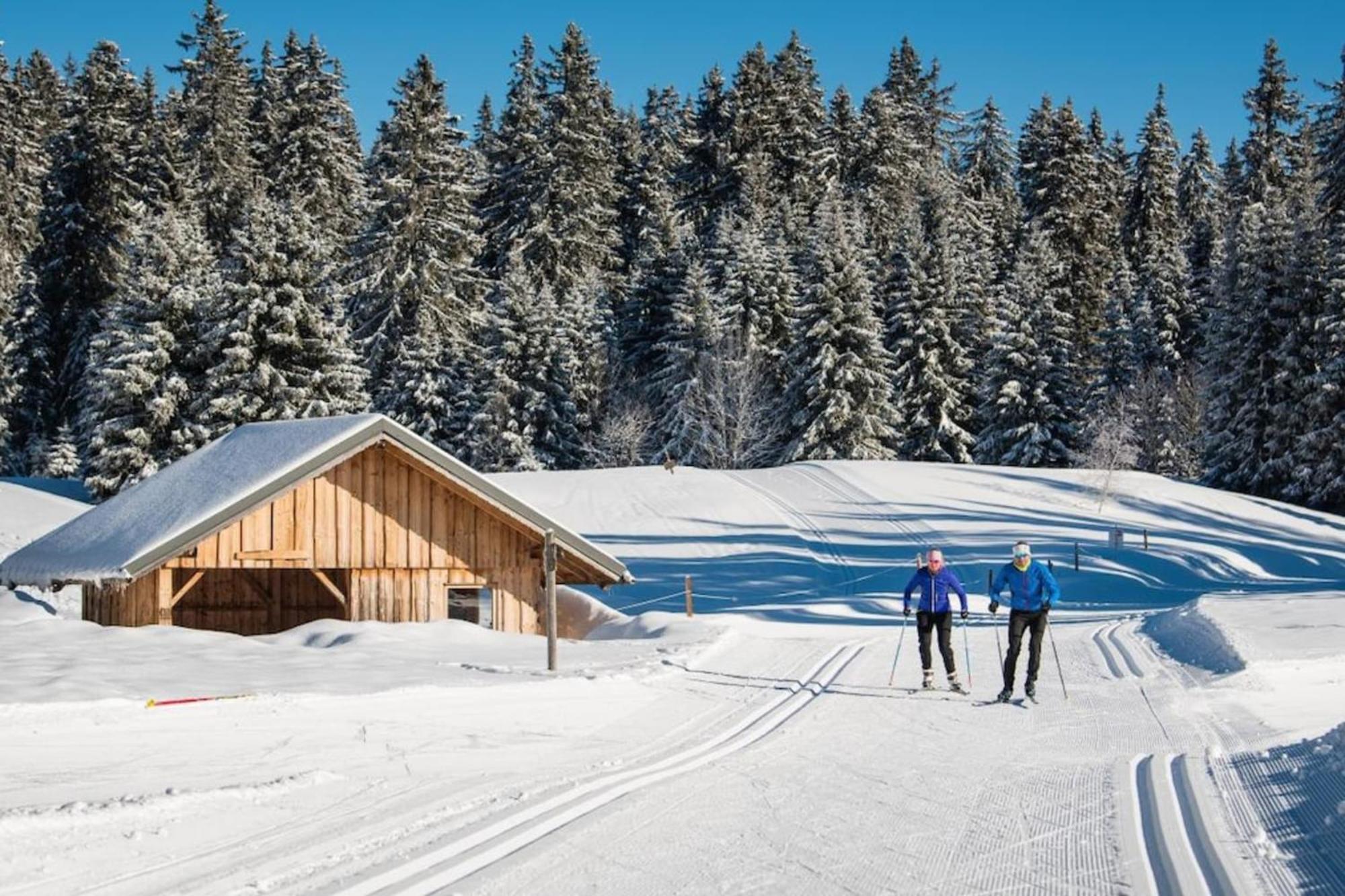 Superbe Appartement Au Pied Des Pistes -Le Chamois Les Déserts Zewnętrze zdjęcie